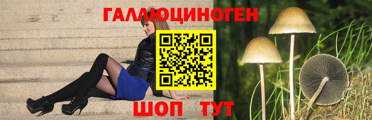 Галлюциногенные грибы ЛСД  Вход с VPN  Большой Камень 
